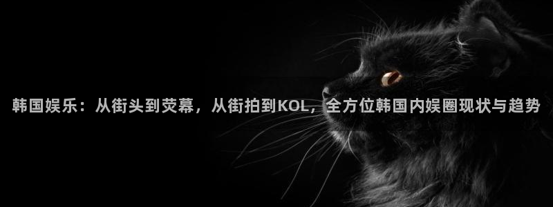 众腾娱乐：韩国娱乐：从街头到荧幕，从街拍到KOL，全方位韩国内娱圈现状与趋势