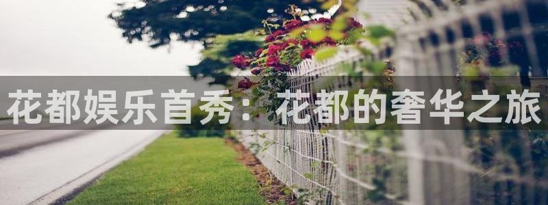 众腾娱乐：花都娱乐首秀：花都的奢华之旅