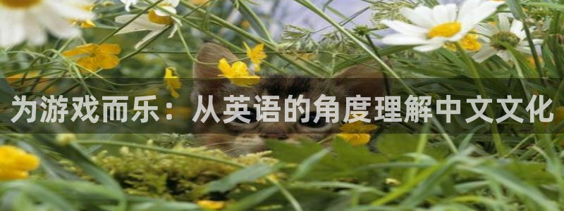 众腾娱乐：为游戏而乐：从英语的角度理解中文文化