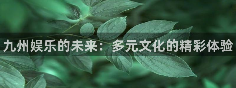 众腾娱乐：九州娱乐的未来：多元文化的精彩体验