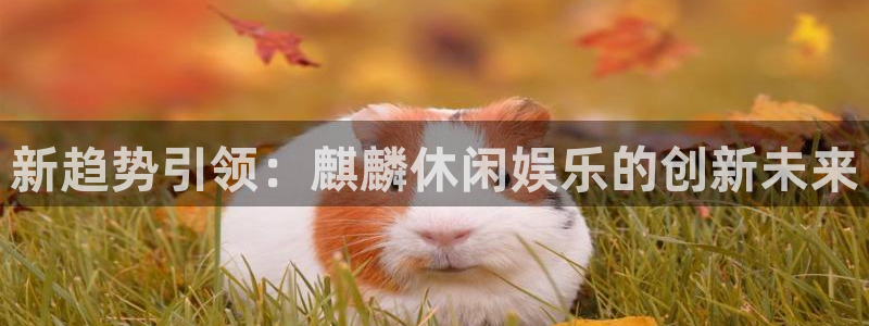 众腾娱乐：新趋势引领：麒麟休闲娱乐的创新未来