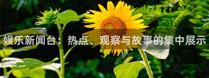 众腾娱乐：娱乐新闻台：热点、观察与故事的集中展示