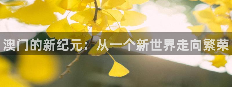 众腾娱乐：澳门的新纪元：从一个新世界走向繁荣
