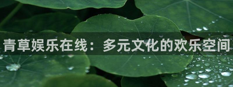 众腾娱乐：青草娱乐在线：多元文化的欢乐空间