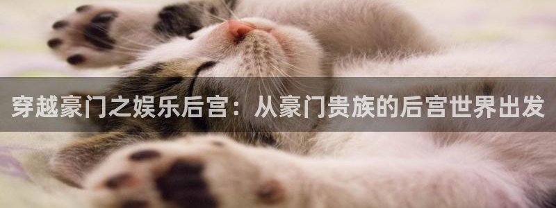 众腾娱乐