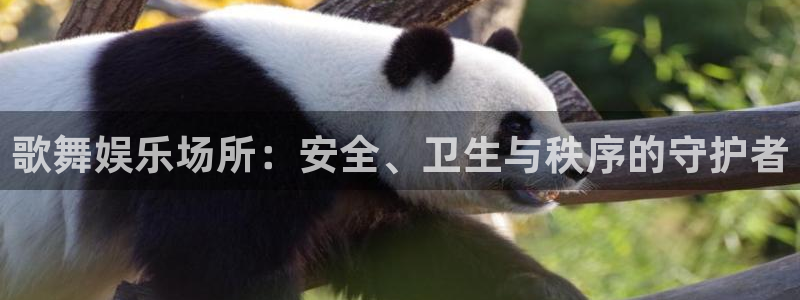 众腾娱乐：歌舞娱乐场所：安全、卫生与秩序的守护者