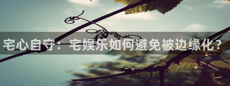 众腾娱乐：宅心自守：宅娱乐如何避免被边缘化？