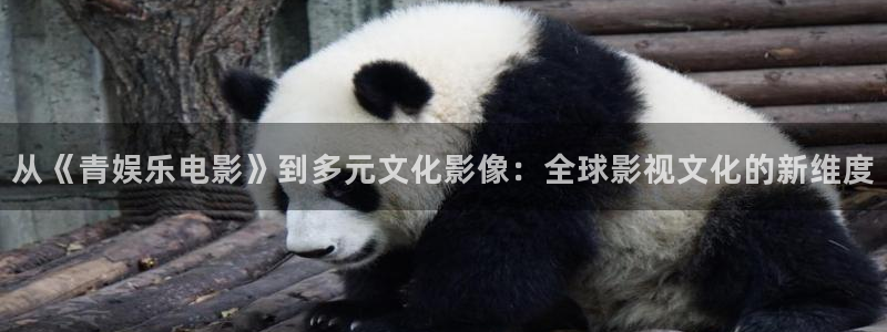 众腾娱乐：从《青娱乐电影》到多元文化影像：全球影视文化的新维度