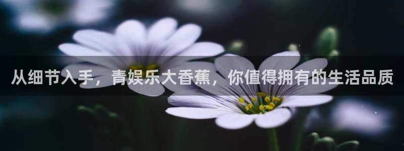 众腾娱乐：从细节入手，青娱乐大香蕉，你值得拥有的生活品质